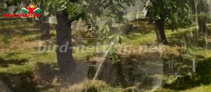 Bird netting