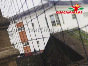 anti-bird mesh in houses