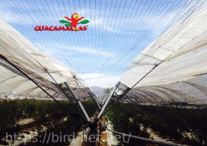 aviary netting