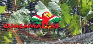 With the bird net would significantly lower the value of these products in the open markets.